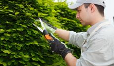 parkgardening_acercade