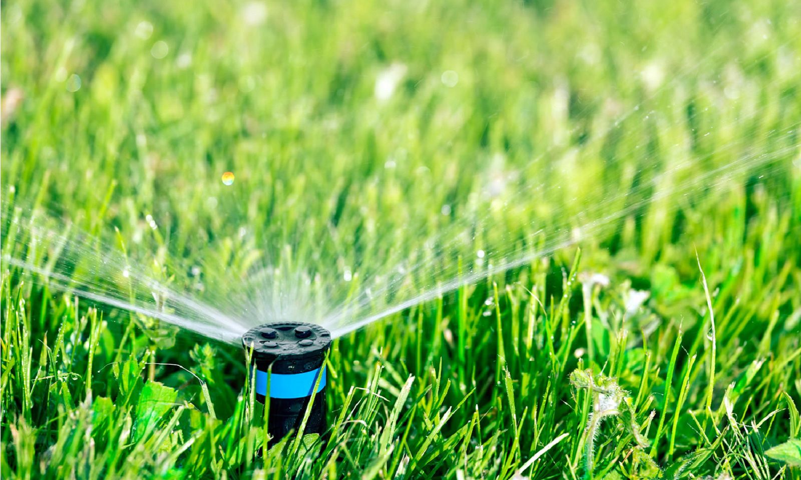 parkgardening_slide01