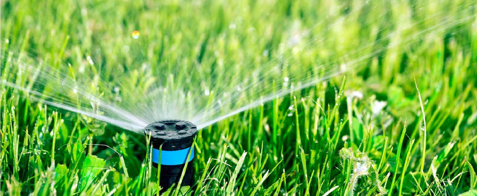 parkgardening_slide01