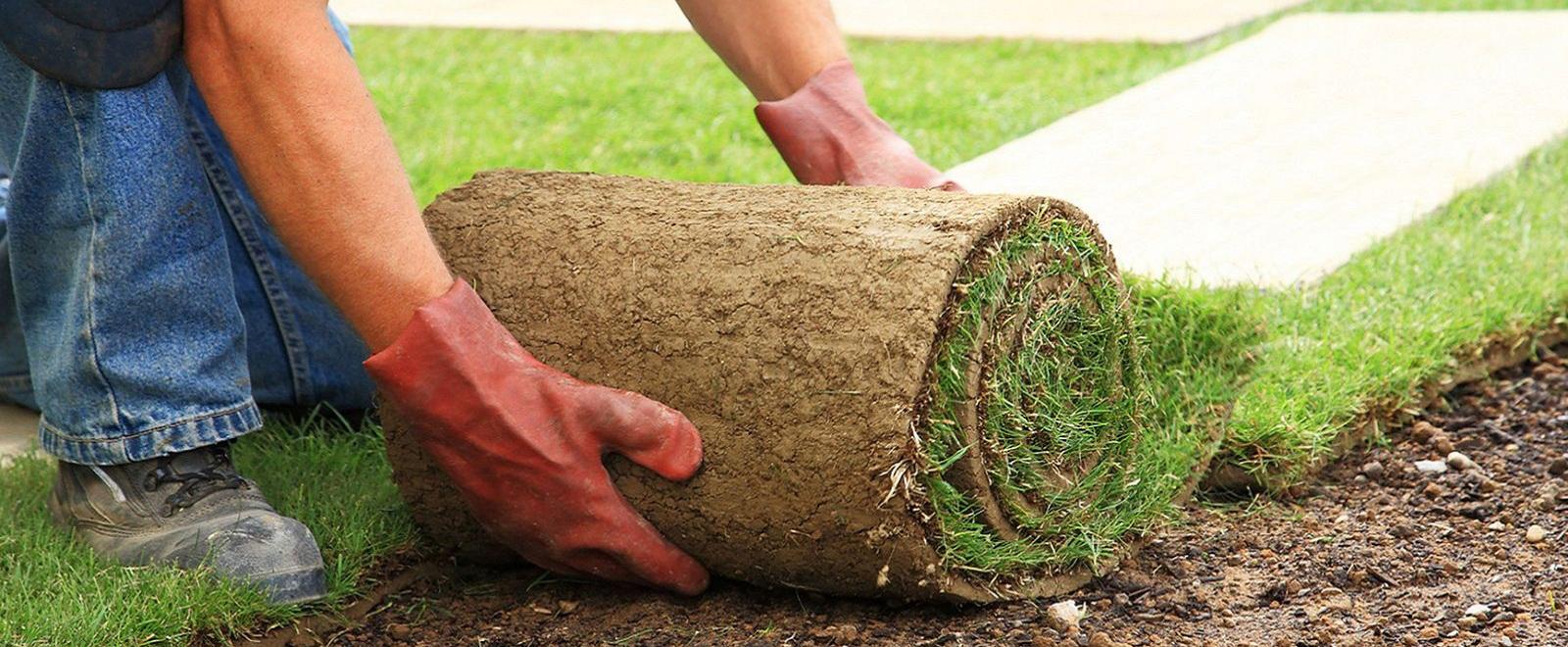 parkgardening_slide02