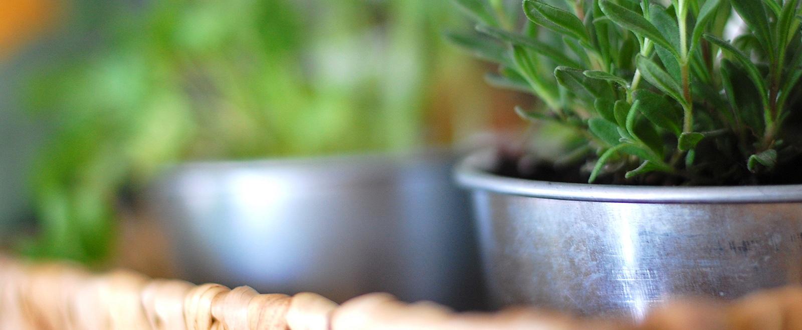 parkgardening_slide04